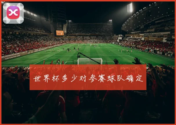 世界杯多少对参赛球队确定