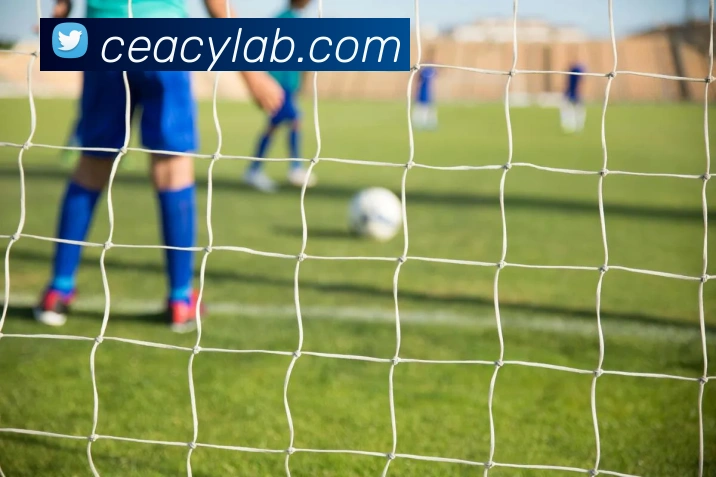 买球官方服务体系